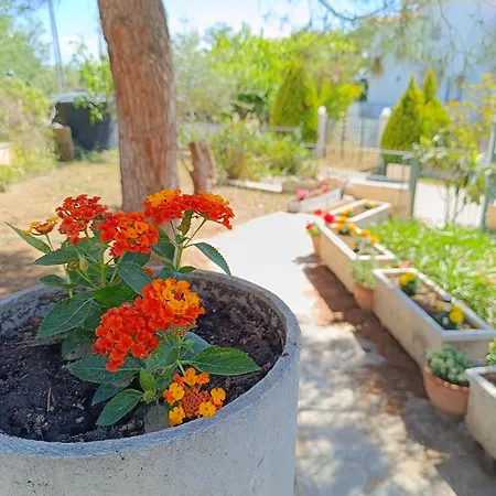 בית נופש Sunset Escape *