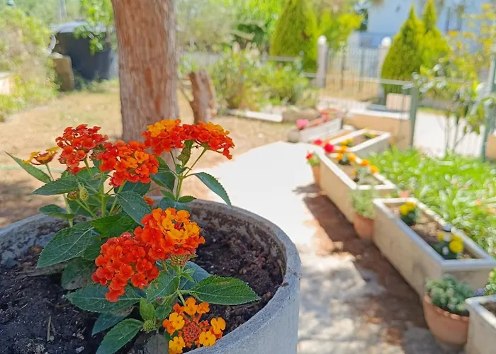 בית נופש Sunset Escape *